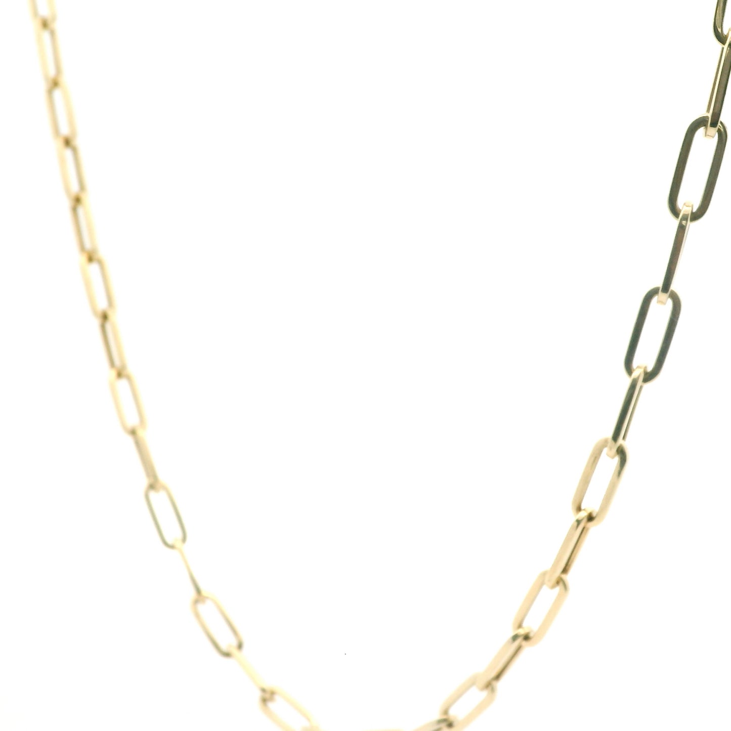 Clothed with Dignity Paperclip Necklace 0249433