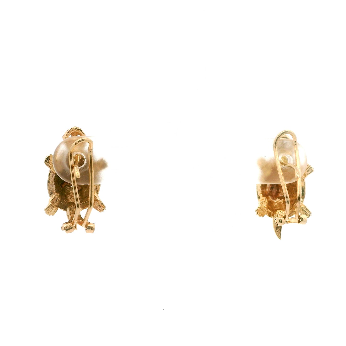 Tortugas En Culebra Earrings 1132640