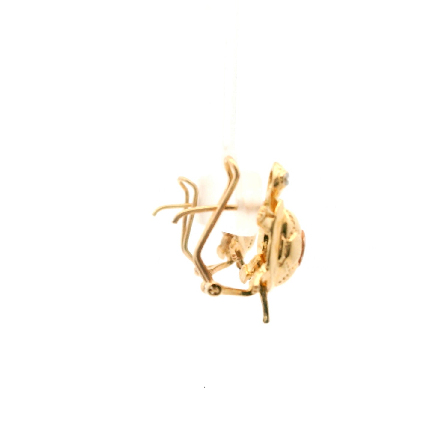 Tortugas En Culebra Earrings 1132640