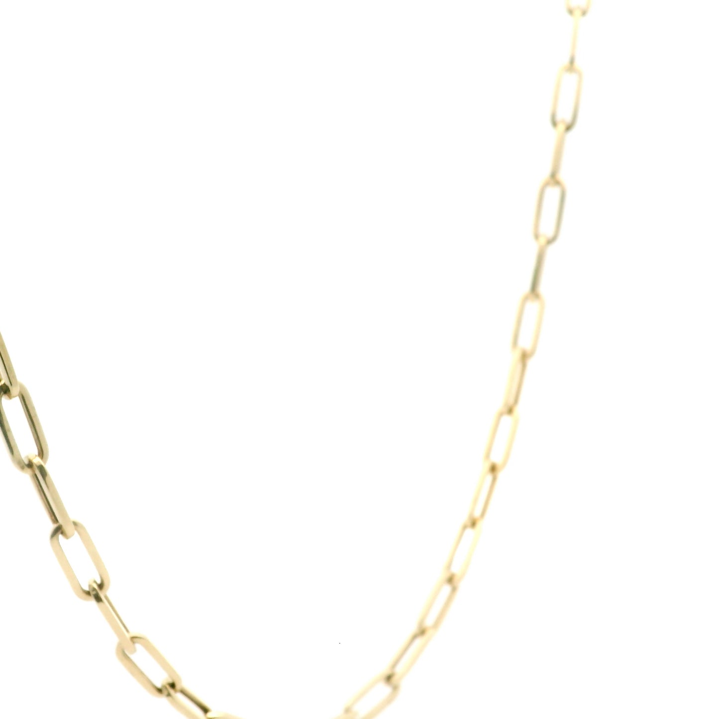 Clothed with Dignity Paperclip Necklace 0249433