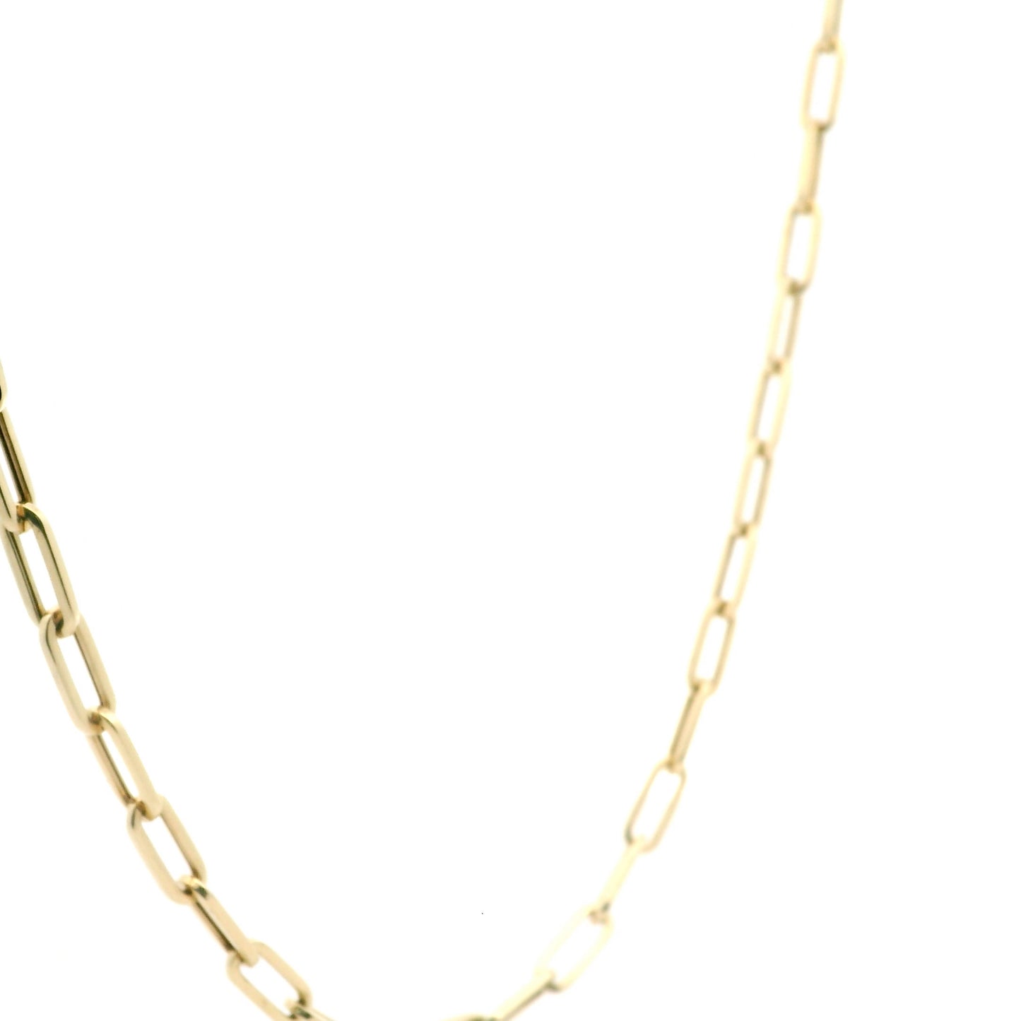 Clothed with Dignity Paperclip Necklace 0249433