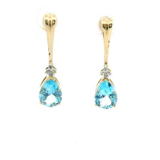 Lost in Your Eyes Dangle Earrings 0631408