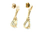 Lost in Your Eyes Dangle Earrings 0631408