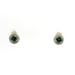 Magical Eye Earrings 0939828