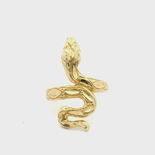 Big Reputation Snake Ring Size 7 0718751