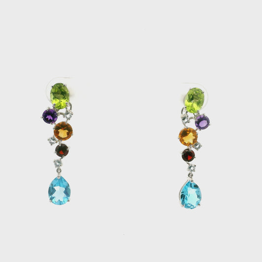 Rainbow Drop Earrings 0249702