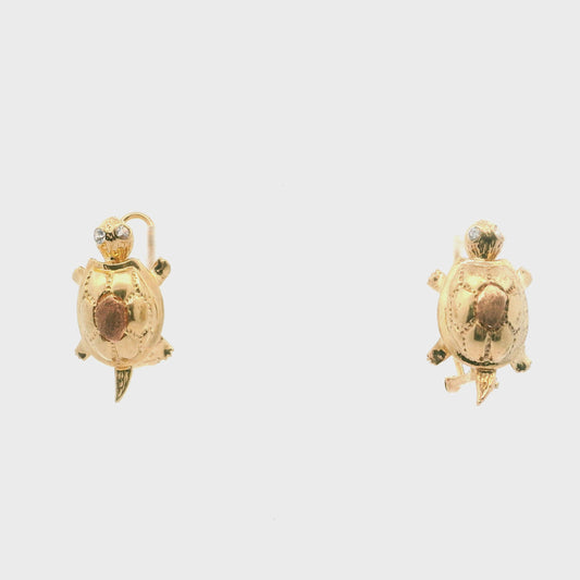 Tortugas En Culebra Earrings 1132640
